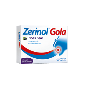 Offerta Speciale ZERINOL GOLA RIBES*18PAST 20MG