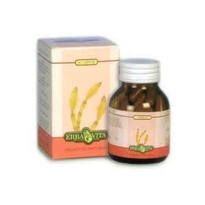 Acerola 60 Capsule 550 Mg