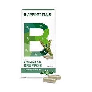 B Apport Plus 40 Capsule